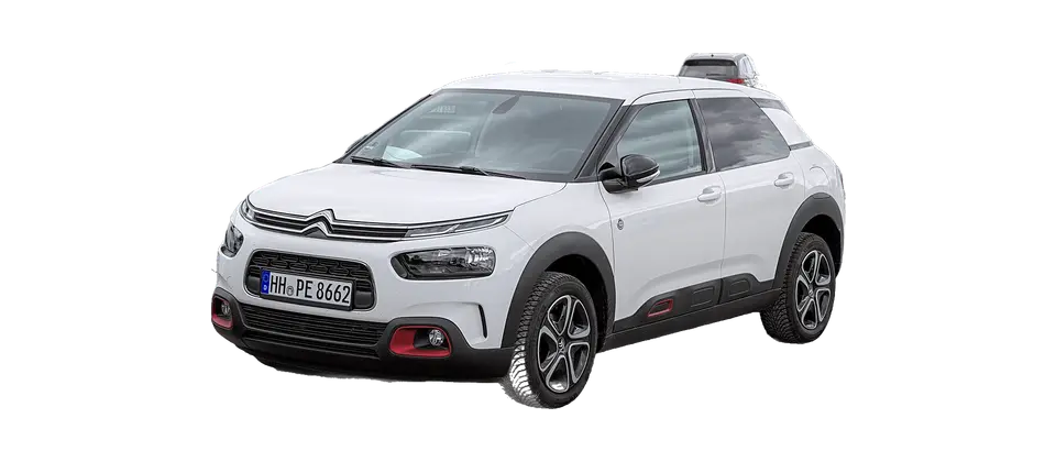 C4 Cactus