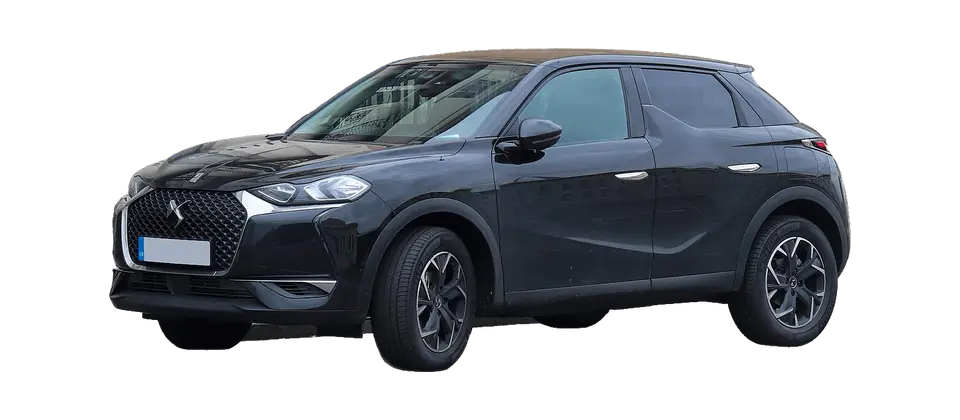 DS 3